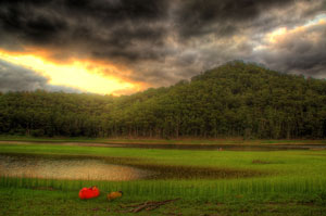 Kangaroo-Valley-River Kangaroo valley